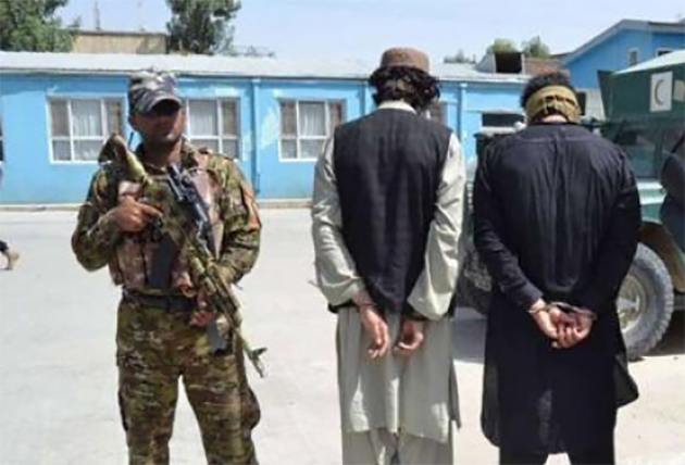 Senior Daesh Leader Arrested, Ghazni Police Claim